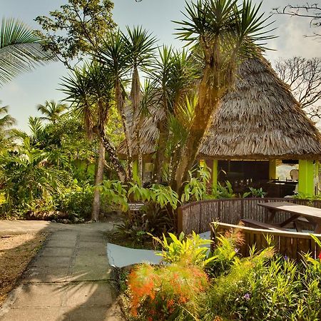 Windy Hill Resort San Ignacio Eksteriør bilde