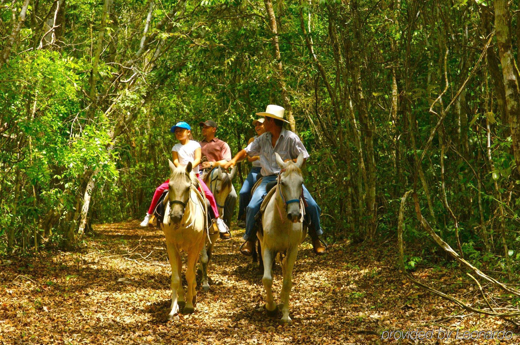 Windy Hill Resort San Ignacio Eksteriør bilde